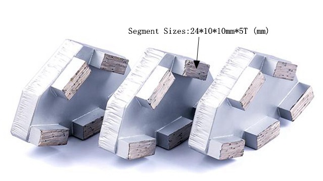 Cassani Diamond Grinding Disc Five Segments