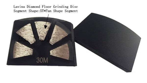 Lavina Diamond Floor Grinding Disc With Five Diamond Segments